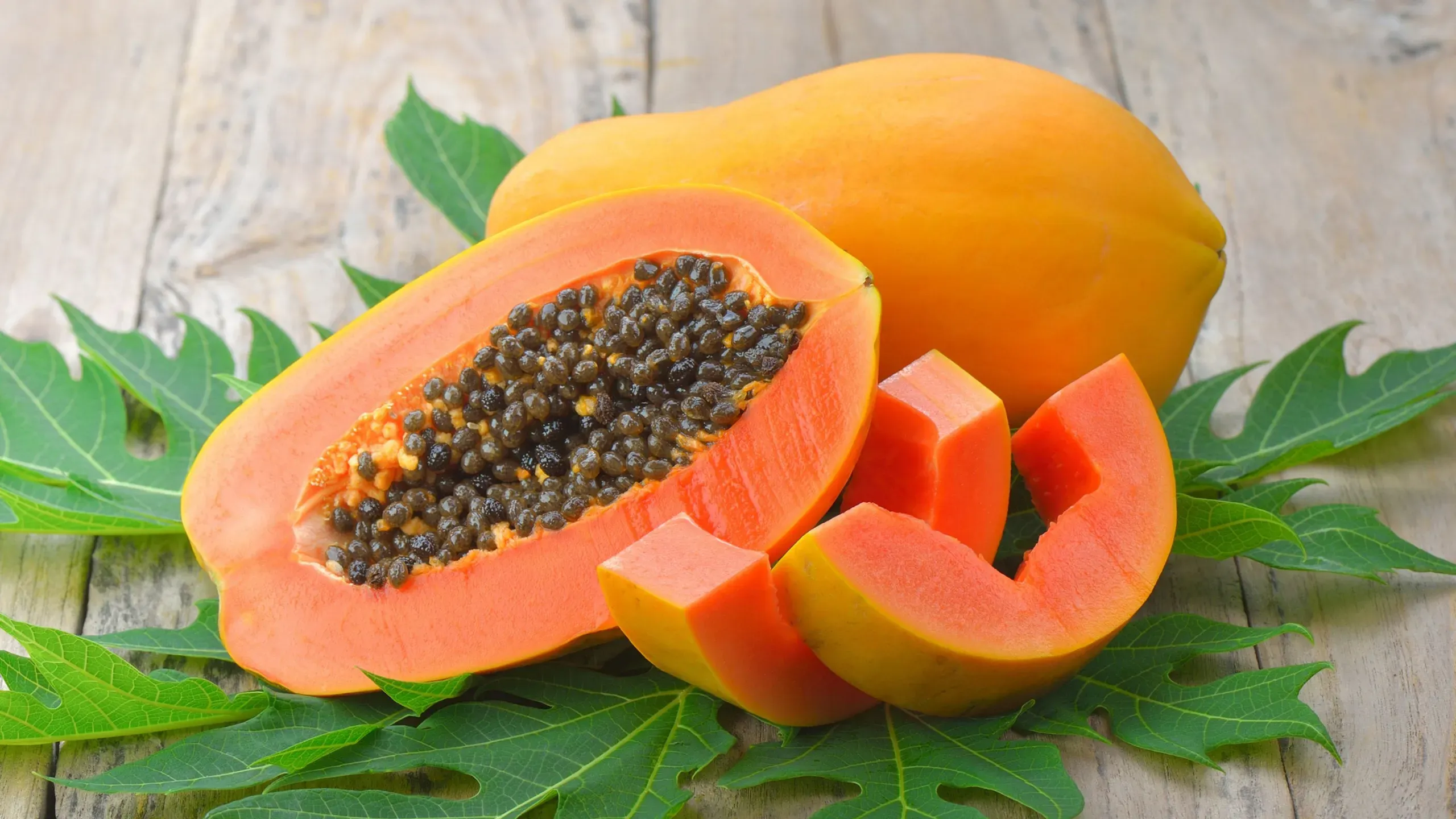 Papaya Premium 2